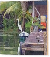 Egret On Watch Wood Print