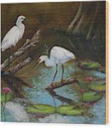 Two Egrets--missed Again Wood Print