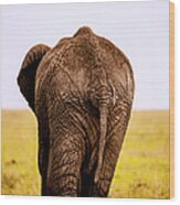 Elephant Cow Walking Away In Kenyas Wood Print