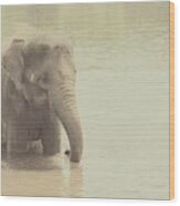 Elephant Dream Wood Print