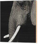 Elephant Wood Print