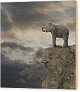Elephant On The Edge Of A Cliff Wood Print
