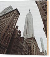 Empire State Building, New York City Wood Print