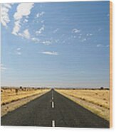 Empty Road Through Desert, Karas Wood Print