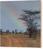 End Of The Rainbow - Samburu Wood Print