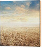 Endless Wheat Field Over Sunset Sky Wood Print