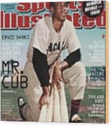 Ernie Banks, Where Are They Now Sports Illustrated Cover Wood Print