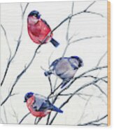 Eurasian Bullfinches Wood Print
