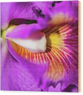 Exotic Orchid 06 Wood Print