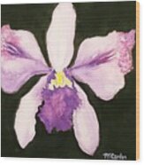 Exotic Orchid Wood Print