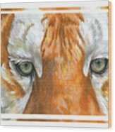Eye-catching Golden Tabby Tiger Wood Print