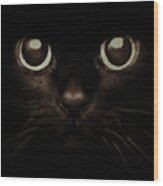 Eyes Of A Kitten Wood Print