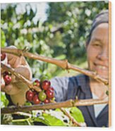 Fair Trade Coffee Farmer Wood Print