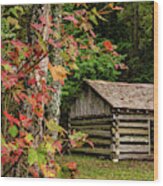 Fall At The Woodshed, Tipton Place Wood Print