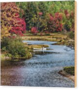 Fall Colors In Baxter State Park Wood Print