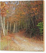 Fall Leaves On Path Wood Print