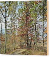 Fall Trail Wood Print
