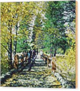 Fallen Leaves On A Footbridge, Yosemite Wood Print