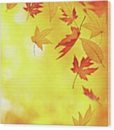 Falling Autumn Leaves Wood Print