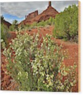 Famous Buttes Of Castle Valley Wood Print