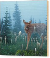 Fawn Memories Wood Print