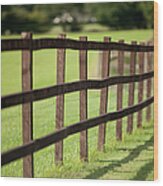 Fence In Sunshine Wood Print