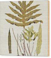 Fern Botanical I Wood Print