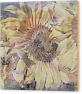 Fields Of Sunflowers Wood Print