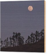Full Moon Over Fiji Wood Print