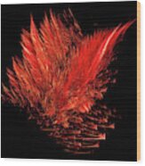 Fire Feathers Wood Print