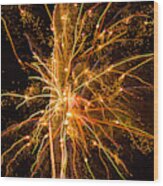Fireworks Neuron Explosion Wood Print