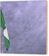 Flag Of Nigeria Hanging Down Dangling Wood Print