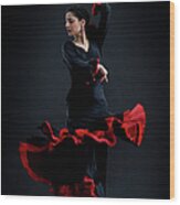 Flamenco Dancer Wood Print