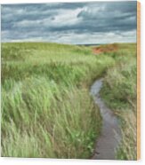 Flooded Dune Path After Dorian Wood Print