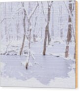 Flooded Trees In The Snow Wood Print