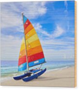 Florida Fort Myers Beach Catamaran Wood Print