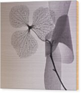 Flower Wood Print