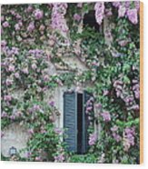 Flowered Window In Sirmione Wood Print