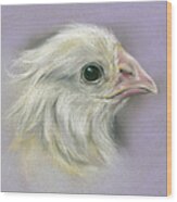 Fluffy Yellow Chick On Purple Wood Print