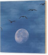 Fly Me To The Moon Wood Print