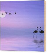 Flying Flamingo Wood Print