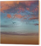 Flying Through The Sunset Sky Wood Print
