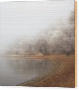 Fog And Rime On The Lake Wood Print