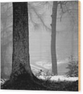 Fog And Trees 2021 Wood Print