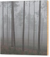 Fog In The Pines Wood Print