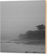 Foggy Beach Wood Print