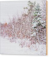 Forest Edge Thicket In Winter Wood Print