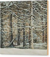 Forest Front In Winter Wood Print