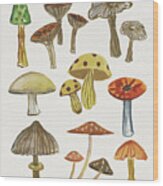 Forest Mushrooms I Wood Print