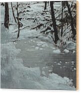 Forest Pond In Winter Wood Print
